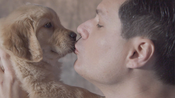 Michael Ian Black: Noted Expert screenshot 4