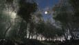 The Lost Earth