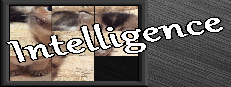 Intelligence Small Capsule Image