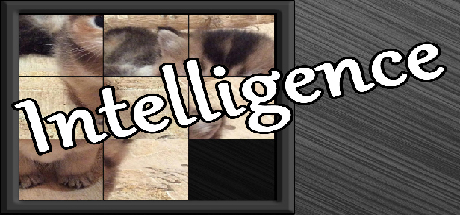 Intelligence banner