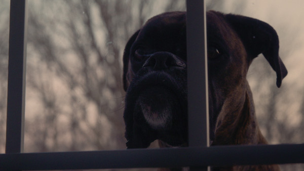Death on Scenic Drive screenshot 4