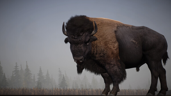 Screenshot 2 of Alaskan Road Truckers - additional gameplay view