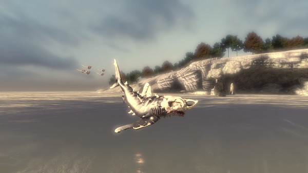 Depth - Nighttip Whitetip Skin