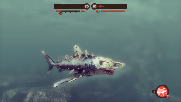 Depth - Nighttip Whitetip Skin