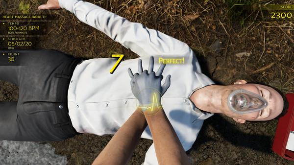 Accident Screenshot
