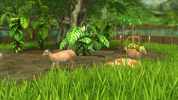 Screenshot z Wildlife Park 3 - Amazonas