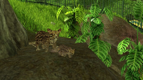 Screenshot z Wildlife Park 3 - Amazonas