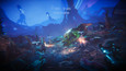 Seeking Dawn
