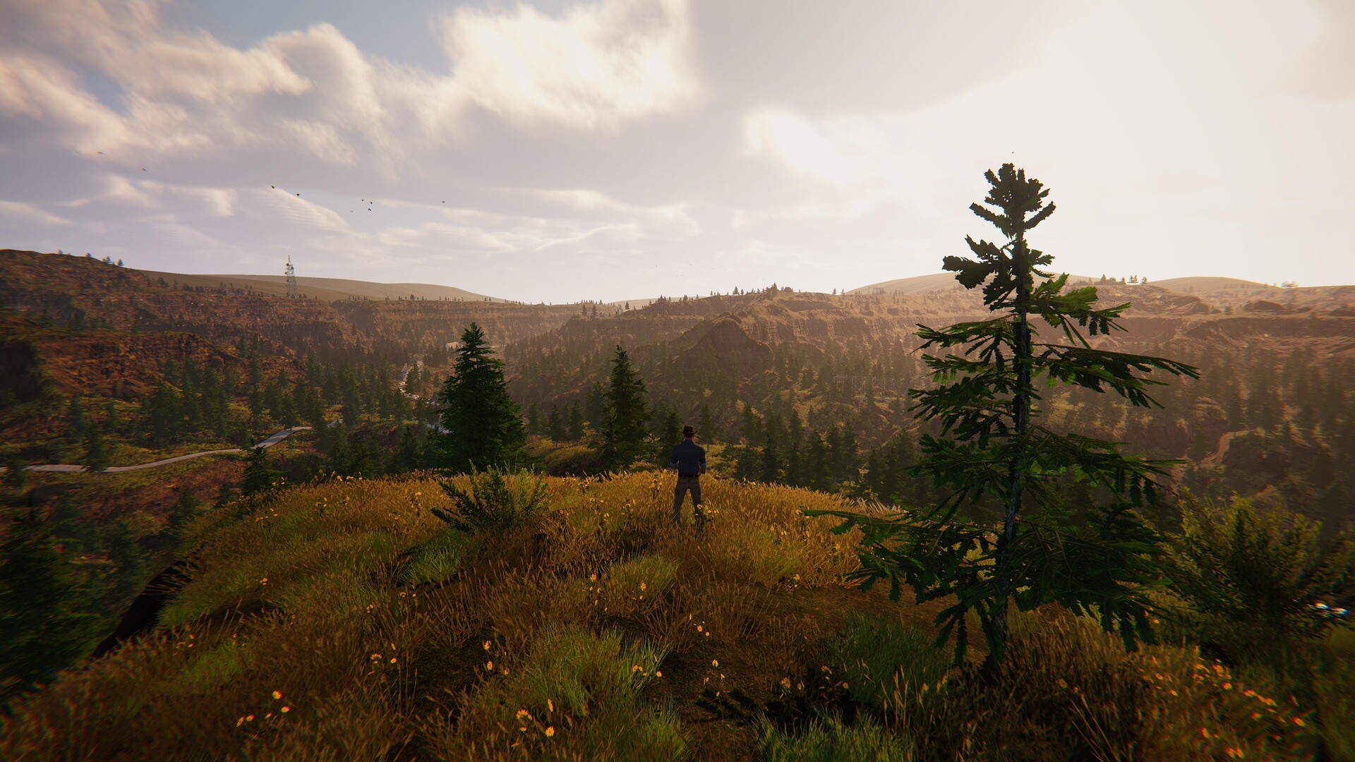 Dinosaur Fossil Hunter screenshot #9