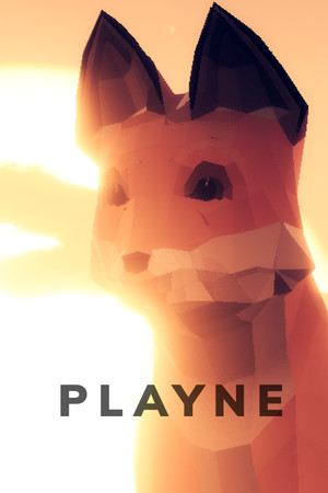Cover art of PLAYNE : The Meditation Game