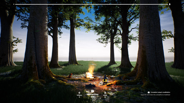 PLAYNE : The Meditation Game
