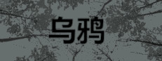 乌鸦 - Crows