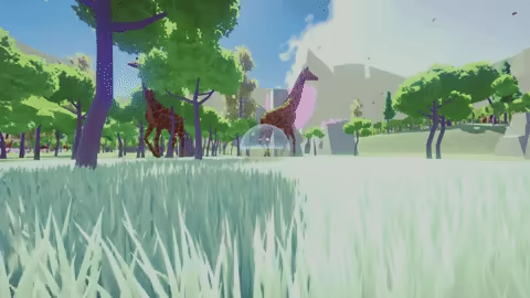 Sphaera video 4