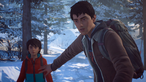 Life is Strange 2 - Episodes 2-5 bundle