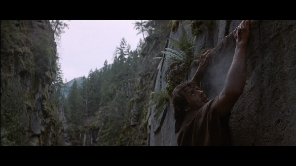 Rambo: First Blood screenshot 2
