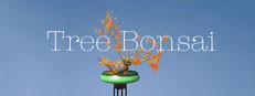 Tree Bonsai