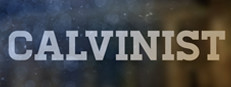 Calvinist game capsule image