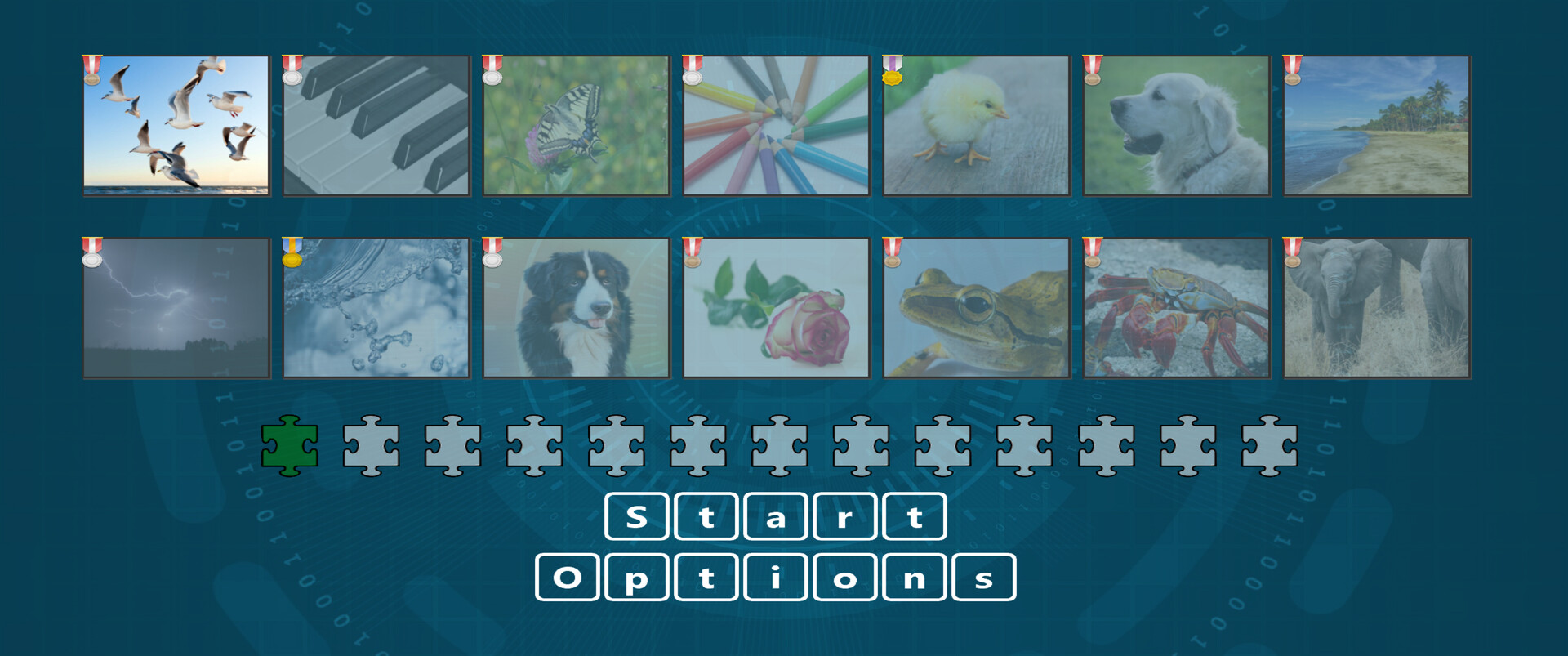Digital Jigsaw Puzzle screenshot #11