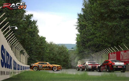 Screenshot z RACE On