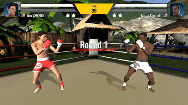 Muay Thai Fighting