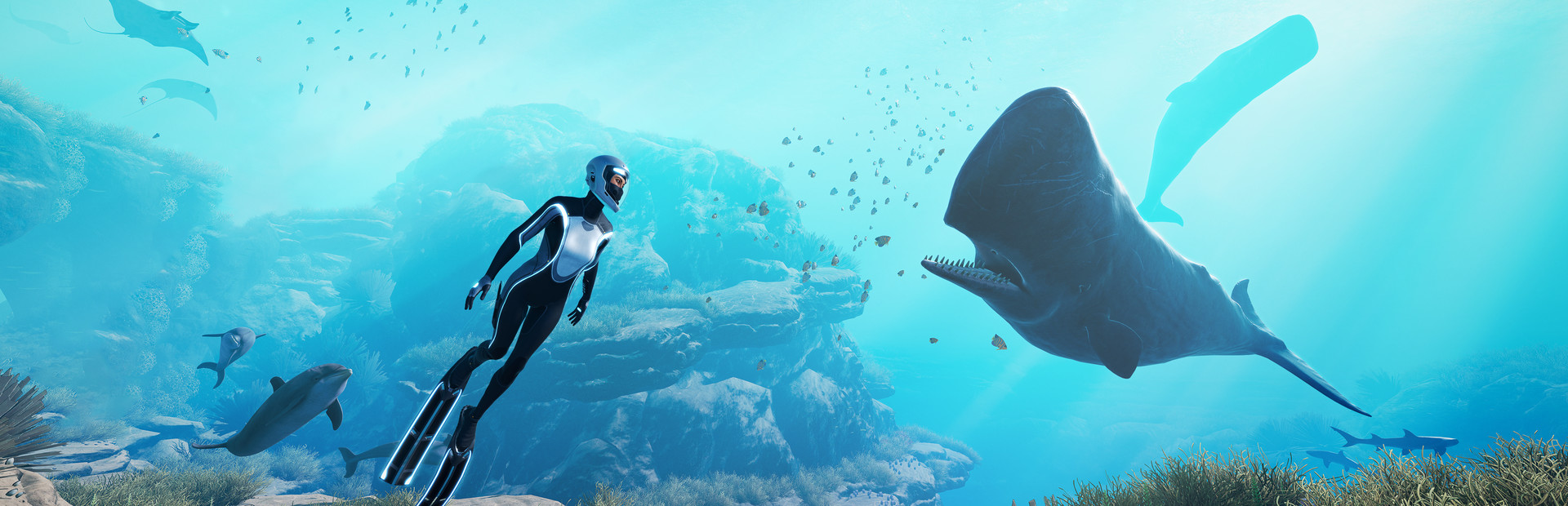 Beyond Blue