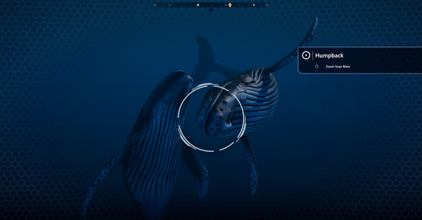 Beyond Blue 截图 10