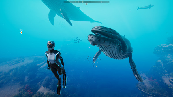 Screenshot of Beyond Blue gameplay showing in-action mechanics