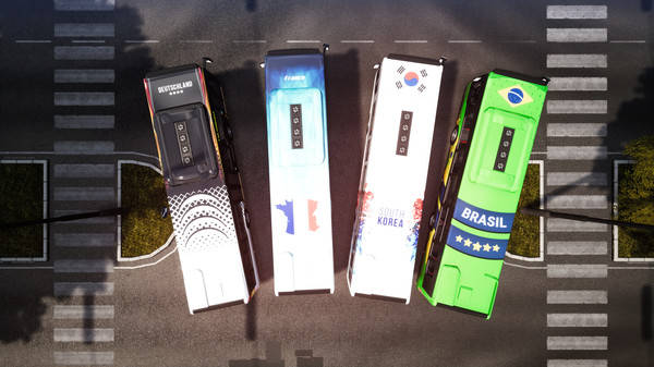 Bus Simulator 18 - Country Skin & Decal Pack