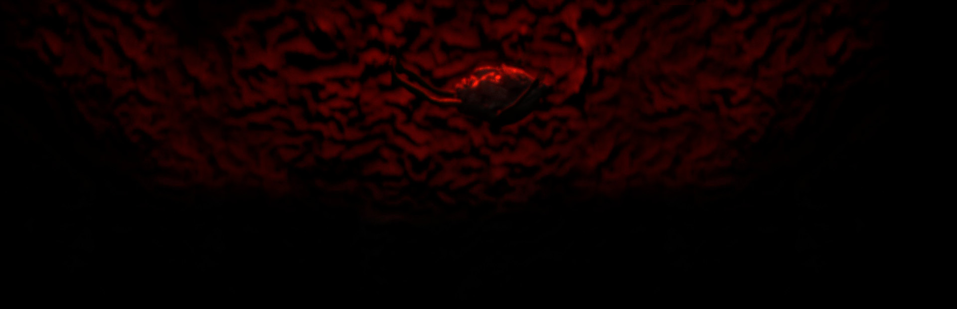Tomato Way 2