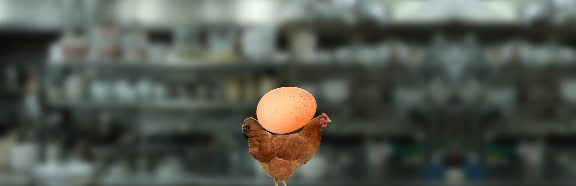 egg is broken. heart is too.