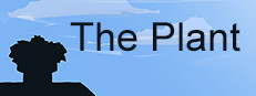 The Plant