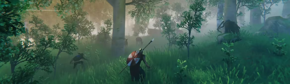 Valheim video 7