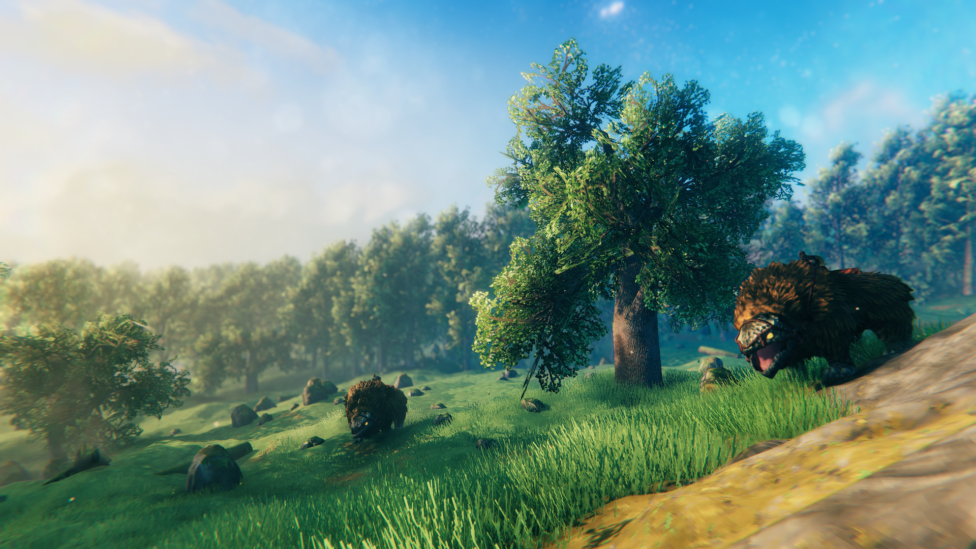 Valheim screenshot #12