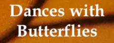 Dances with Butterflies VR