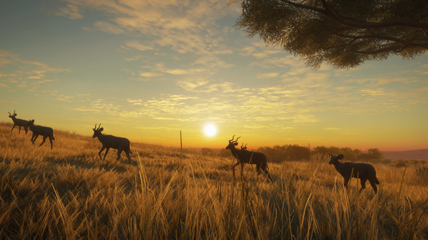 KHAiHOM.com - theHunter: Call of the Wild™ - Vurhonga Savanna