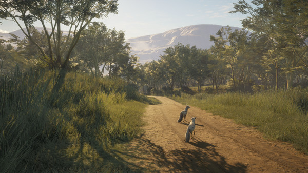 theHunter: Call of the Wild™ - Vurhonga Savanna — скриншот 11