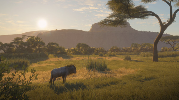 KHAiHOM.com - theHunter: Call of the Wild™ - Vurhonga Savanna