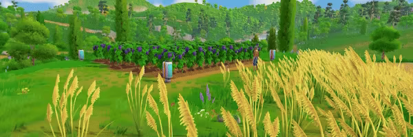 Autonomica video 4