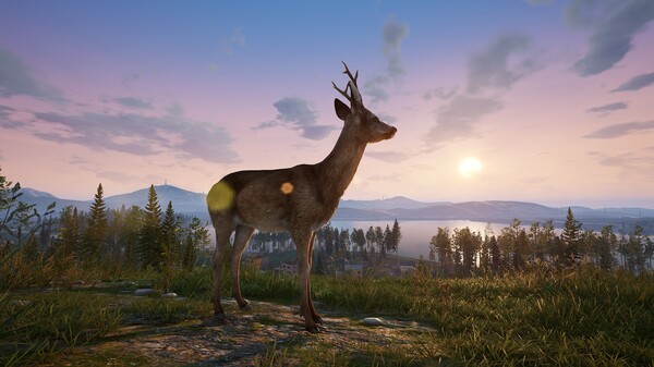 Screenshot z Deadside Screenshot z Deadside