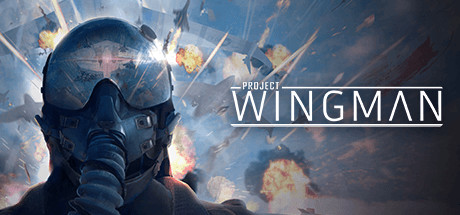 Image for Project Wingman
