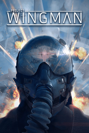 Cover art of Project Wingman