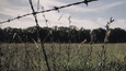 Screenshot #8