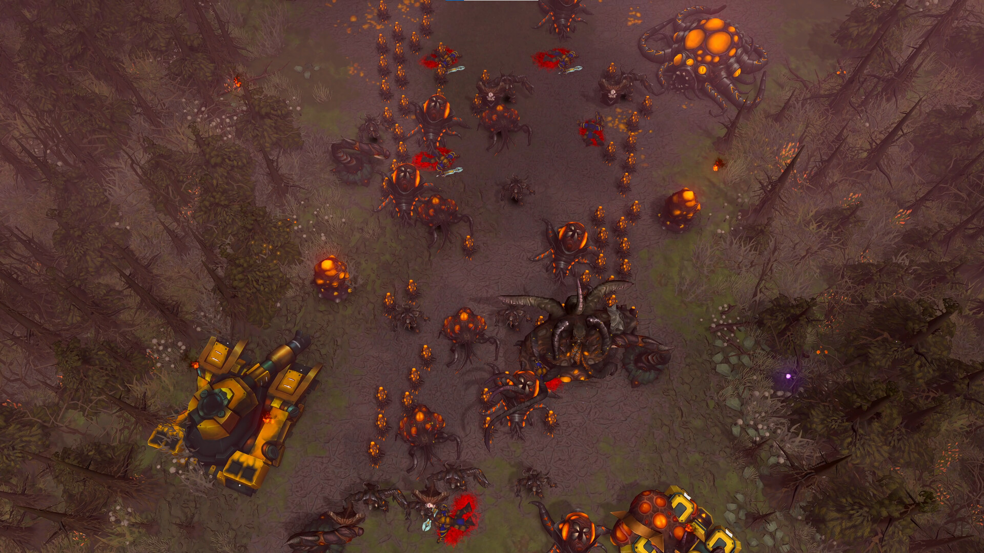 Screenshot 3 of 5