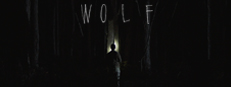 Wolf game capsule image