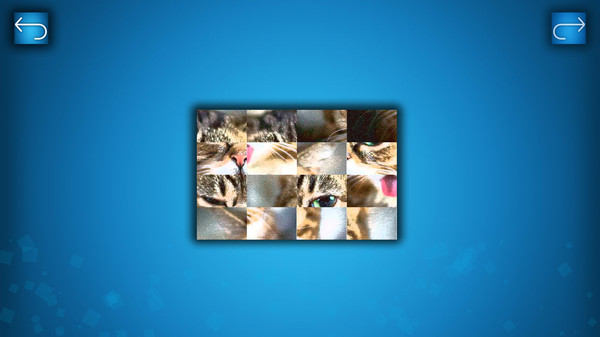 PUZZLE: CATS & DOGS