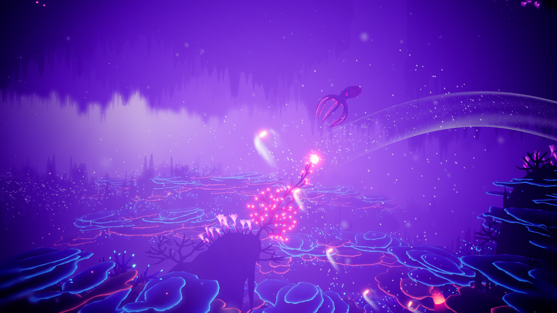 Koral screenshot #4