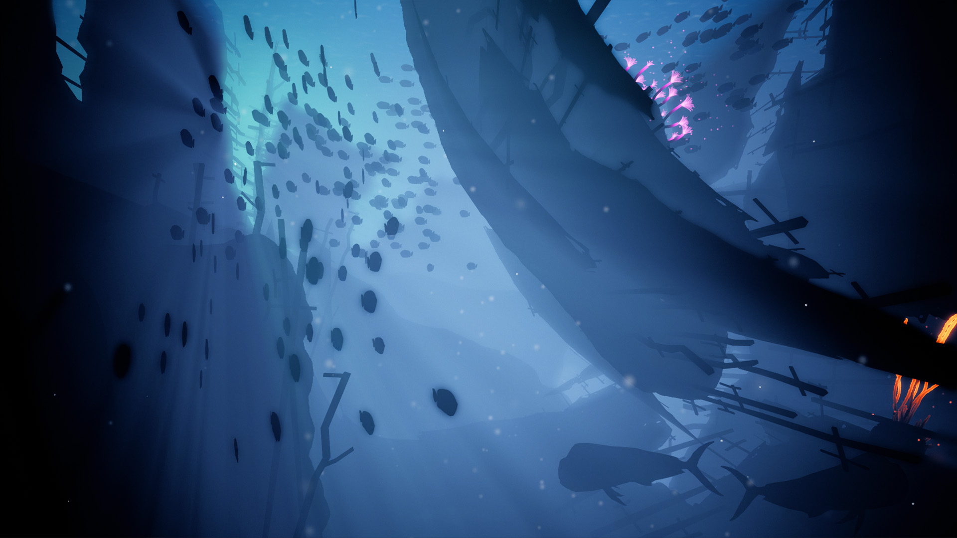 Koral screenshot #5