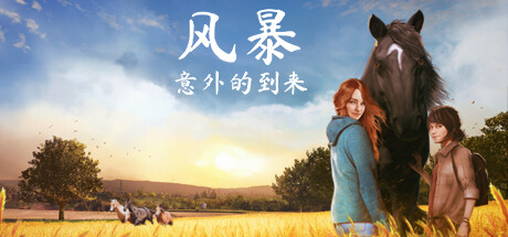 风暴:意外的到来 封面