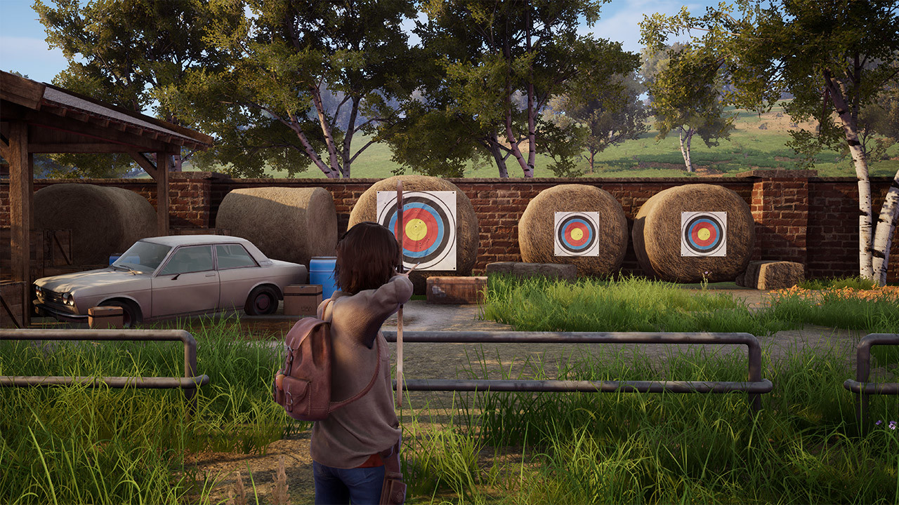 Windstorm: An Unexpected Arrival screenshot #3