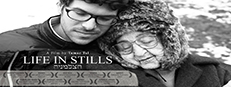 Life In Stills game capsule image